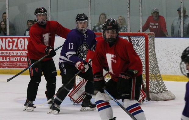 The ice hockey teams from Grosse Ile and Brownstown Woodhaven...