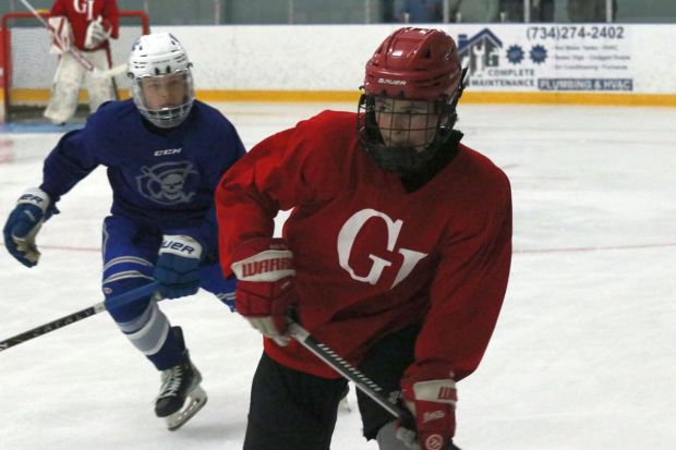 The ice hockey teams from Grosse Ile and Brownstown Woodhaven...