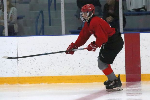 The ice hockey teams from Grosse Ile and Brownstown Woodhaven...