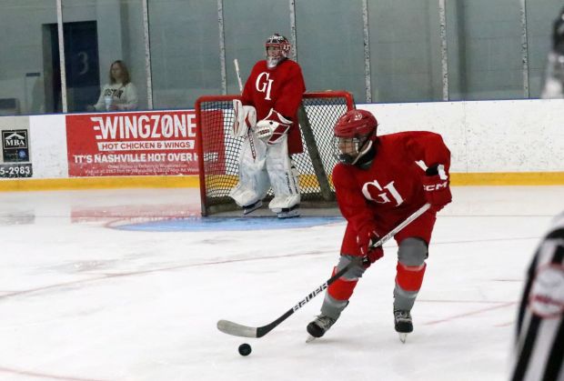 The ice hockey teams from Grosse Ile and Brownstown Woodhaven...