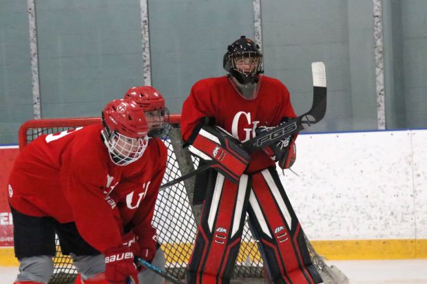 The ice hockey teams from Grosse Ile and Brownstown Woodhaven...