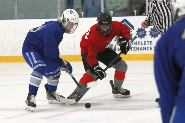 The ice hockey teams from Grosse Ile and Brownstown Woodhaven...
