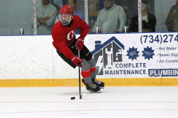 The ice hockey teams from Grosse Ile and Brownstown Woodhaven...