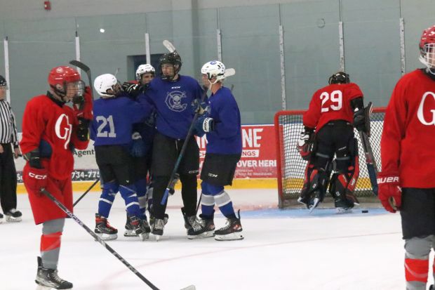 The ice hockey teams from Grosse Ile and Brownstown Woodhaven...
