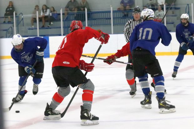 The ice hockey teams from Grosse Ile and Brownstown Woodhaven...