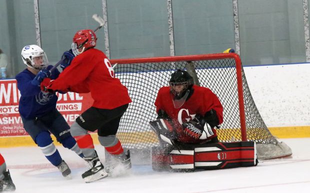 The ice hockey teams from Grosse Ile and Brownstown Woodhaven...