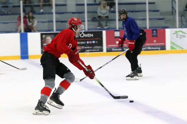 The ice hockey teams from Grosse Ile and Brownstown Woodhaven...