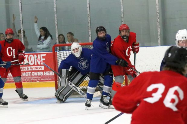 The ice hockey teams from Grosse Ile and Brownstown Woodhaven...
