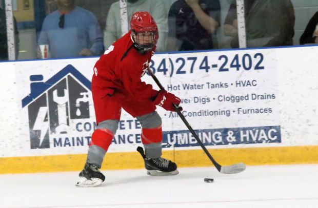 The ice hockey teams from Grosse Ile and Brownstown Woodhaven...