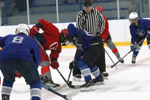 The ice hockey teams from Grosse Ile and Brownstown Woodhaven...