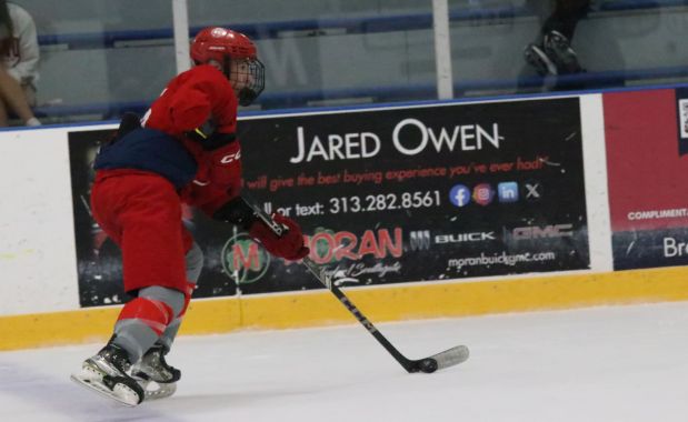 The ice hockey teams from Grosse Ile and Brownstown Woodhaven...