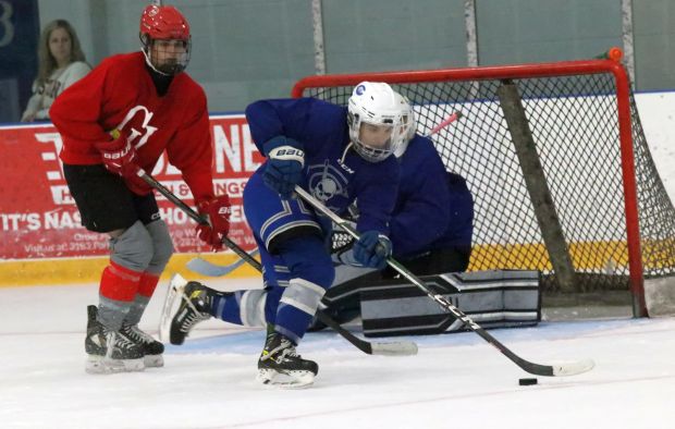 The ice hockey teams from Grosse Ile and Brownstown Woodhaven...