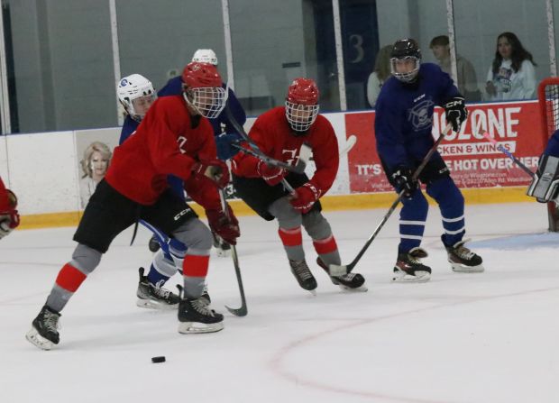 The ice hockey teams from Grosse Ile and Brownstown Woodhaven...