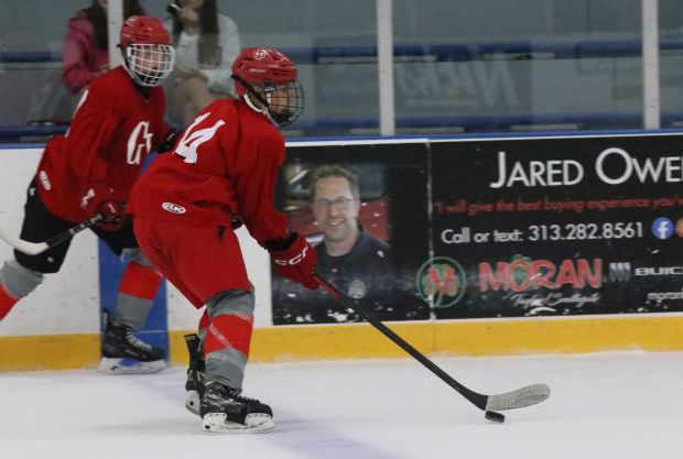 The ice hockey teams from Grosse Ile and Brownstown Woodhaven...