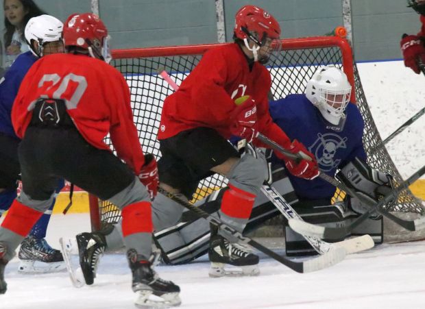 The ice hockey teams from Grosse Ile and Brownstown Woodhaven...