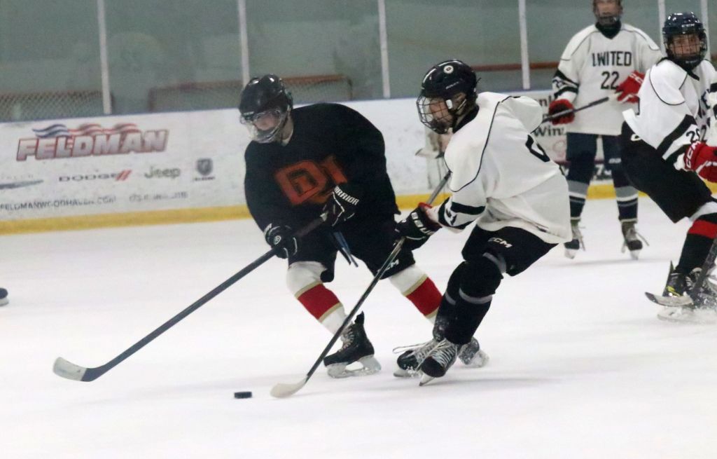 Trio of local co-op programs resume summer league action – The News Herald