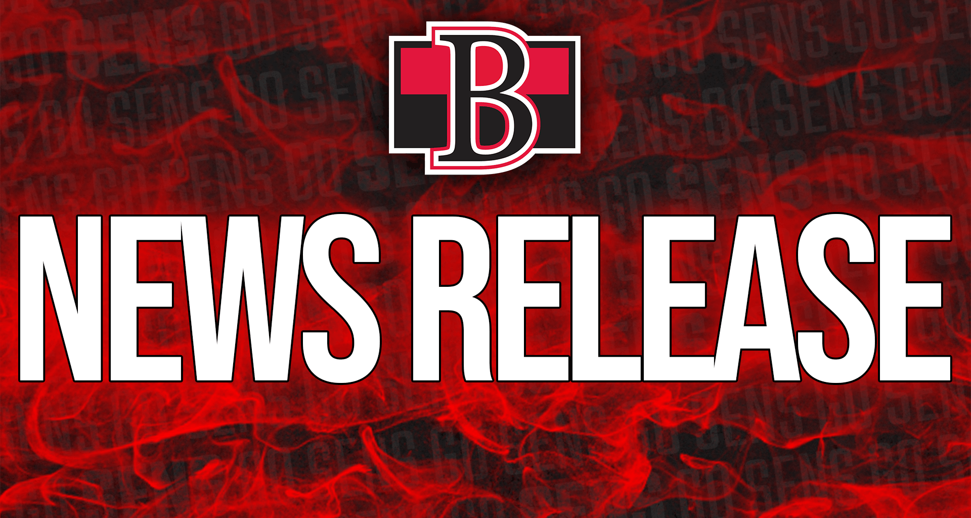 Belleville Sens 2025-26 group deposits and Home Opener Ticket Pack to launch next week – Belleville Sens