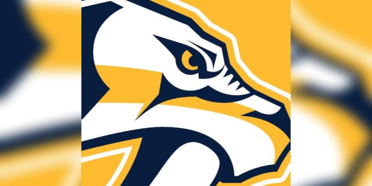 Nashville Predators Foundation makes $25K donation to Second Harvest Food Bank