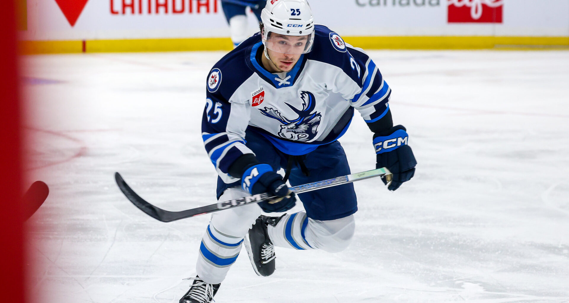 Parker Ford Manitoba Moose