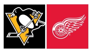 Pittsburgh Penguins game, Detroit Red Wings