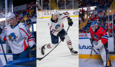 Springfield Thunderbirds | Blues Extend Qualifying Offers to 3 Players