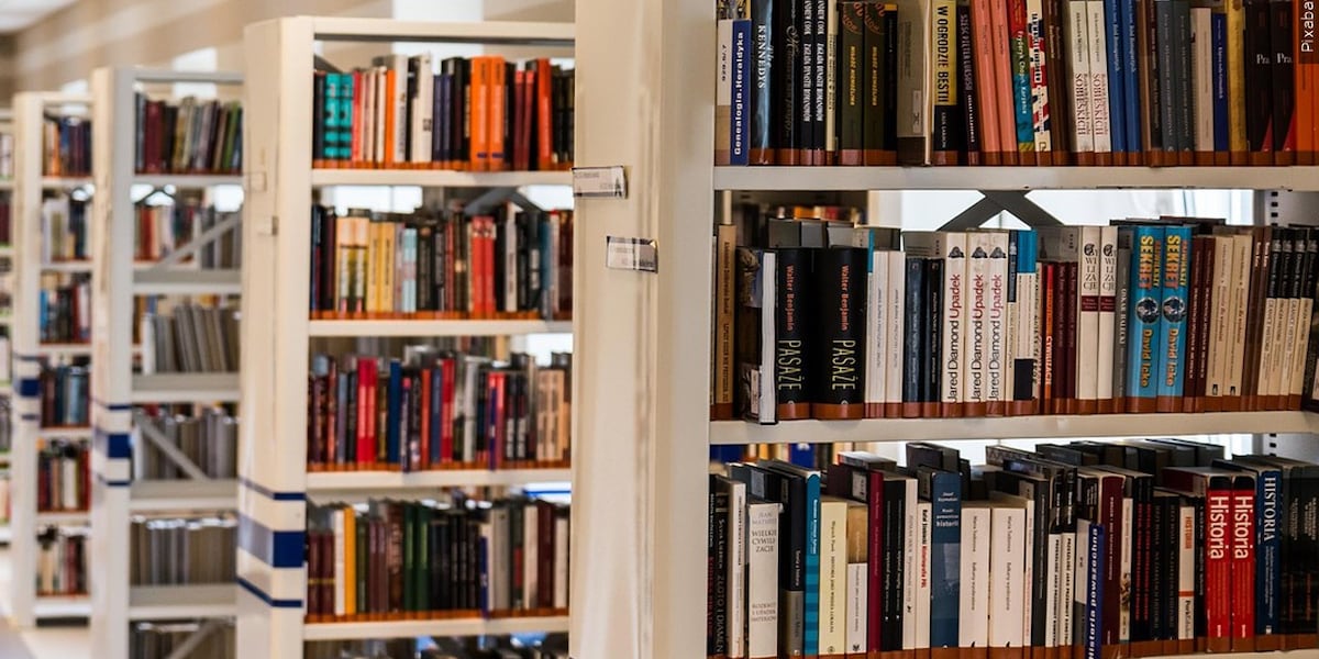 Boston Bruins helping boost literacy through summer reading program