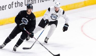 Utah Mammoth, Dmitriy Simashev....