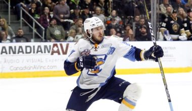 Nominees for latest Toledo Hockey Hall of Fame class include recent legends, heroes of yesterday