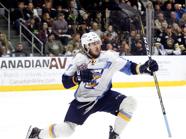 Nominees for latest Toledo Hockey Hall of Fame class include recent legends, heroes of yesterday