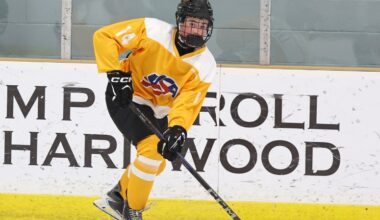 21 standout forwards from USA Hockey's Select 15 Camp