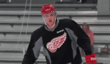 Alexey Marchenko, former Red Wings