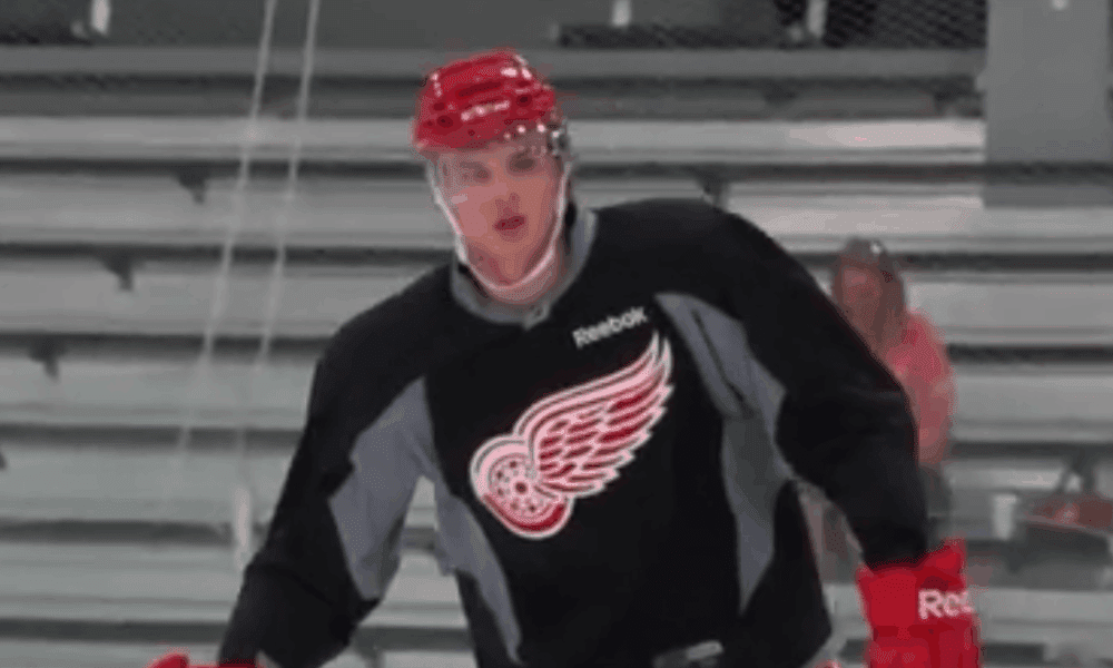 Alexey Marchenko, former Red Wings