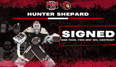 Sens complete hunt for help in goal, sign two-time AHL champ Shepard – Belleville Sens