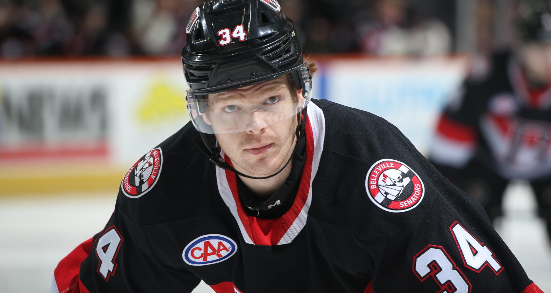 Stephen Halliday Belleville Senators