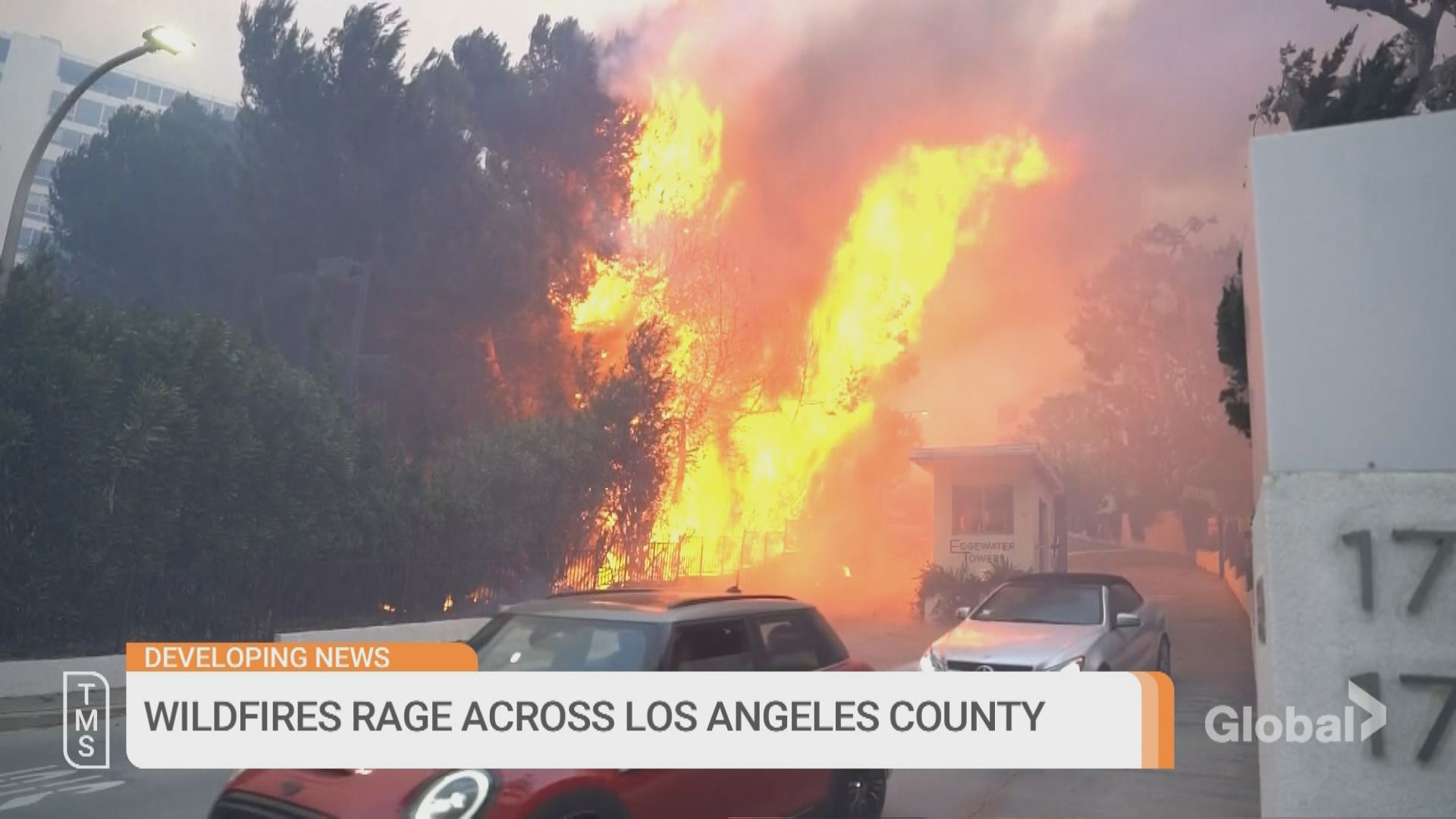 Click to play video: 'Celebrities react to devastating wildfires in LA'