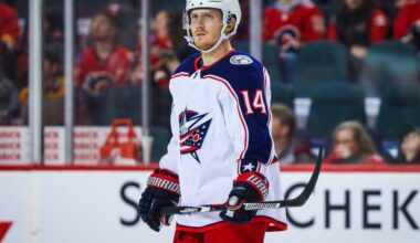 Jets Sign Gustav Nyquist