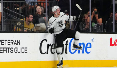 DEL's Straubing Tigers Sign Tyler Madden