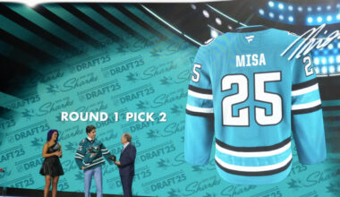 Western Notes: Misa, Dvorsky, Wild