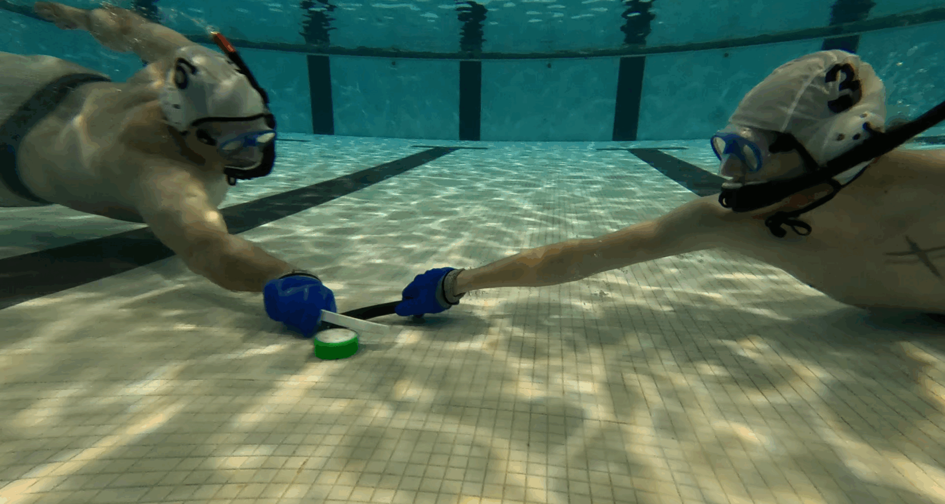Baltimore Bottom Feeders aim to grow sport of underwater hockey