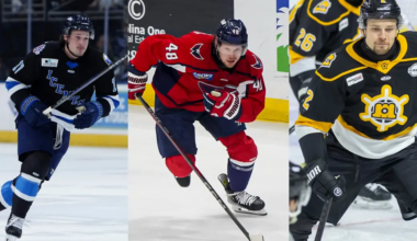AHL: Providence Bruins Sign Two Forwards & A Defenseman