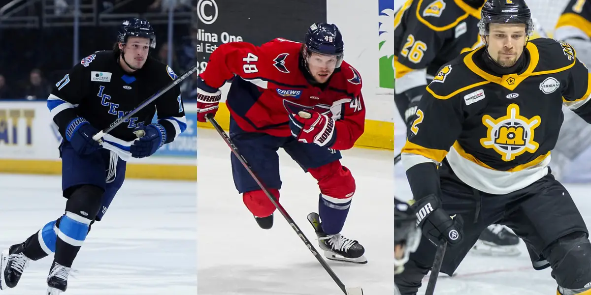 AHL: Providence Bruins Sign Two Forwards & A Defenseman