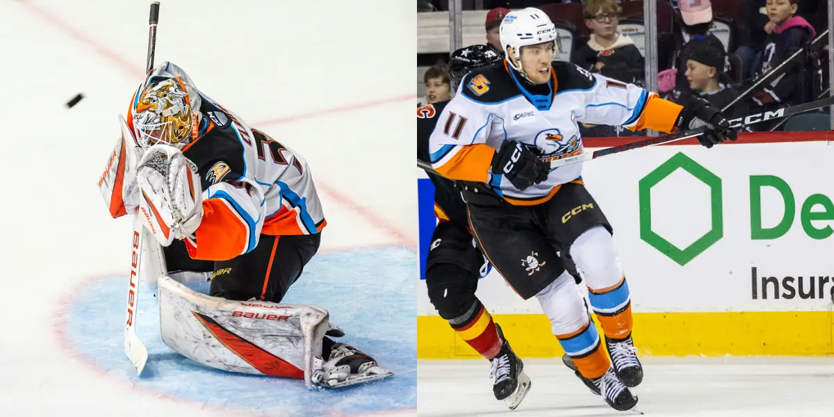 Anaheim Ducks Re-Sign Goalie and a Forward