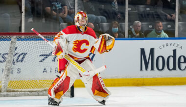 The Wolf Watch: Are goalies more important than skaters? | Morgan Hill Times