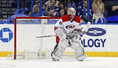 Carolina Hurricanes emergency backup goalie Jorge Alves makes his NHL debut during the third period of the team's NHL hockey game against the Tampa Bay Lightning on Dec. 31, 2016, in Tampa, Fla. (AP Photo/Mike Carlson, file)
