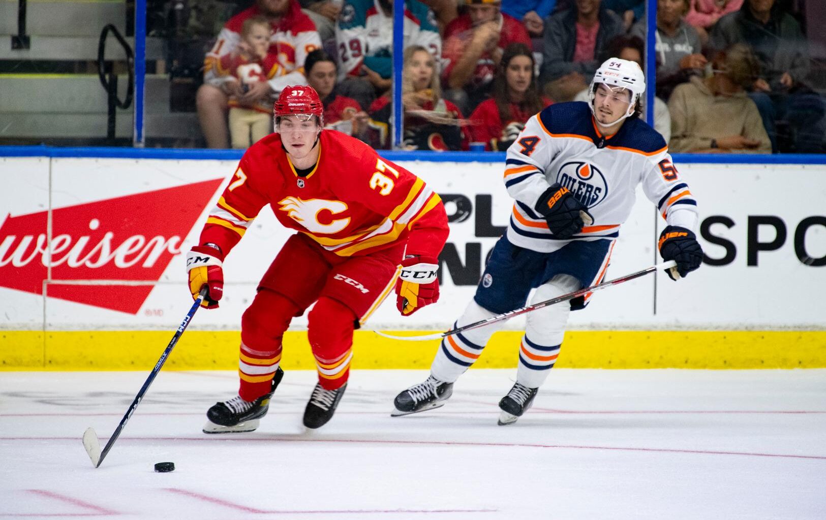 The Calgary Flames re-sign three players