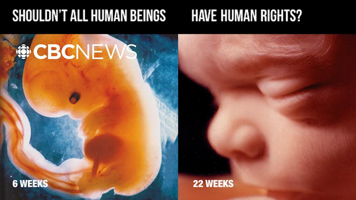 Should there be rules around dropping flyers with graphic imagery into your mailbox?