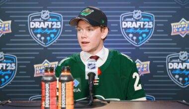 The Wild Might Have Something With Newly Drafted Defensemen Theodor Hallquisth - Minnesota Wild