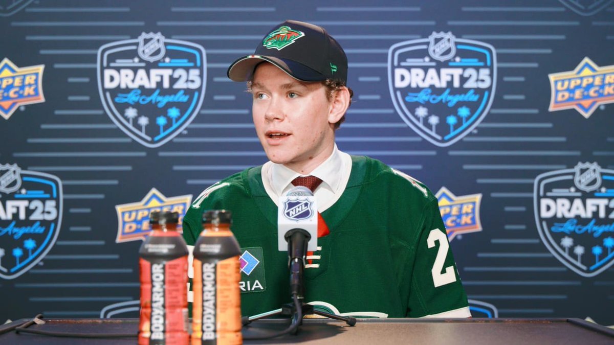 The Wild Might Have Something With Newly Drafted Defensemen Theodor Hallquisth - Minnesota Wild
