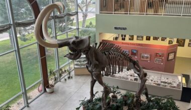 How a small-town museum hopes to ride the excitement of Utah’s new NHL team