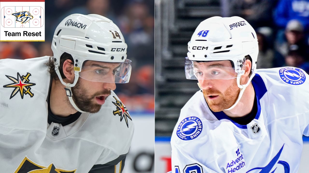 Predators add Hague, Perbix to revamped blue line